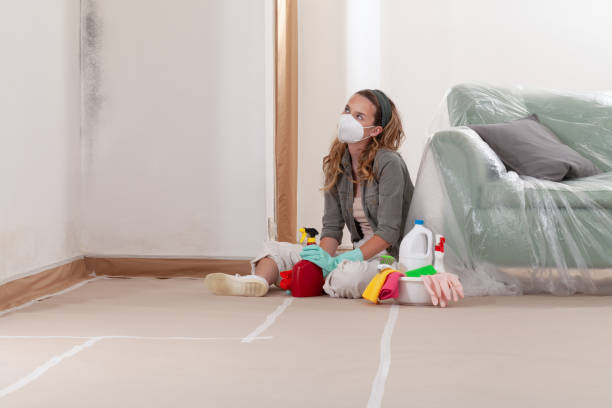 Reliable Mold Remediation contractor in Carver, MN by WQB Mold Removal